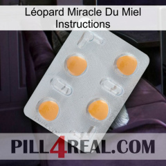 Léopard Miracle Du Miel Instructions 24